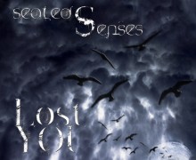 SealedSenses – Lost You